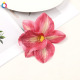Rouge Image8
