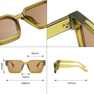 Lunettes De Soleil Décontractées Simple Series, Couleur Unie, Imprimé Léopard, Dégradé De Couleurs. h5 Image4