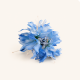 Bleu clair Image2