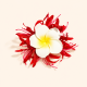 Clip bec de canard-rouge Image2
