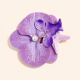 Pince à bec de canard n° 3 - Violette Image3