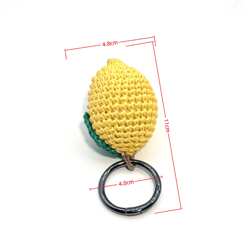Breloques Pour Sac En Raphia Tissé, Collection Simple Series Daily Fruit 