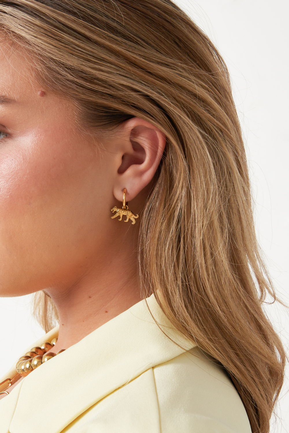 Boucles D'Oreilles Pendantes En Acier Inoxydable, Motif Animal, Collection Daily Simple, Bijoux Pour Femmes Image2