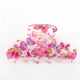 fuchsia Image7