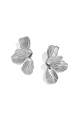 couleur argent Image2