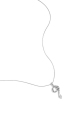 couleur argent Image2