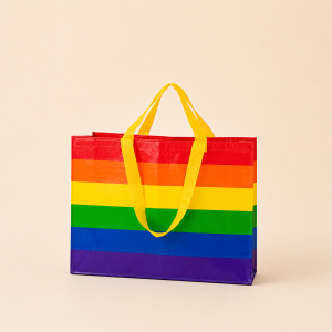Sac Carré Femme À Rayures Tissées Multicolores Style Décontracté h5 Image2