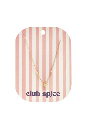 Colliers Pendentifs En Acier Inoxydable Star Simple Daily Simple Series Bijoux Pour Femmes h5 Image2
