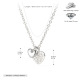 couleur argent Image2