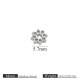 couleur argent/Style 6 Image18