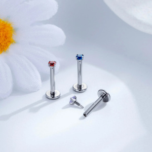 Boucles D'Oreilles Piercing Femme En Alliage De Titane Et Zircon, Forme Géométrique Simple h5 Image3