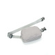 Gris Image12