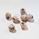 kaki/10PCS Image3