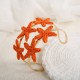 Orange Image5