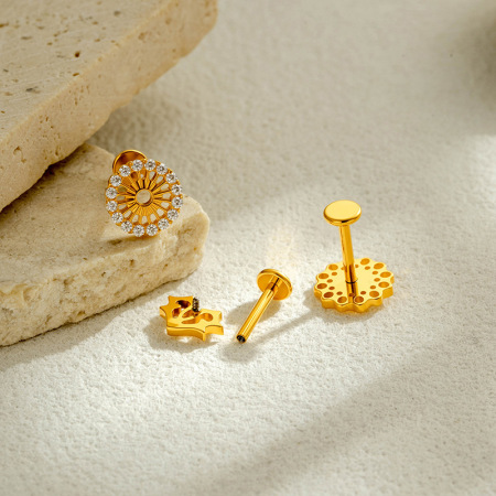 Boucles d'oreilles piercing pour femme, en alliage de titane doré avec zircon, motif cœur et animal, collection Simple. 2