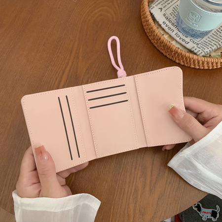 Portefeuilles et porte-cartes carrés pour femmes, en tissu uni brodé à motif teckel, style décontracté 2