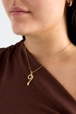 Collier Avec Pendentif Serpent Recouvert h5 Image2