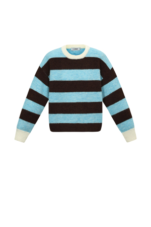 Le Pull Rayé Poilu (Pack With Plastic Bag) h5 