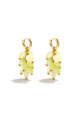 Jaune Image2