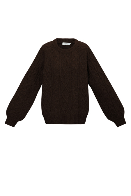 Pull norvégien 2