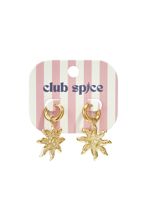 Boucles D'Oreilles Pendantes En Acier Inoxydable, Collection Sun Simple Daily Simple, Bijoux Pour Femmes h5 Image3