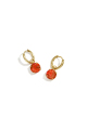 Orange Image4