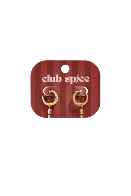 Boucles d'oreilles pendantes en acier inoxydable, forme géométrique, collection décontractée et simple, bijoux pour femmes 2