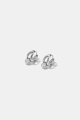 couleur argent Image2