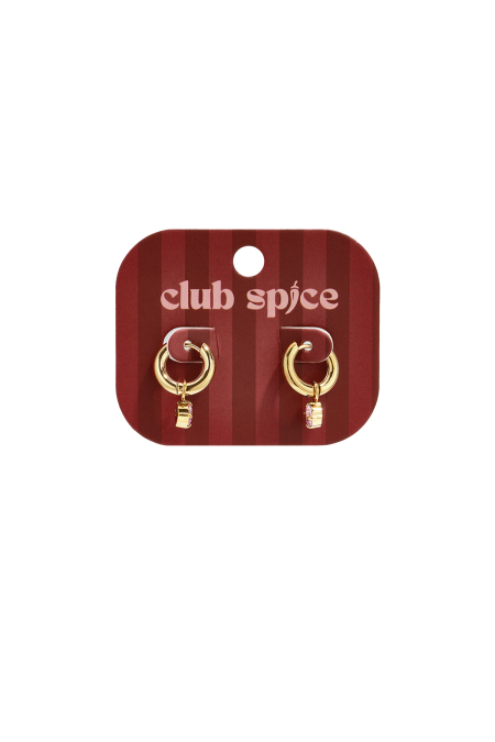 Boucles d'oreilles pendantes en acier inoxydable, forme géométrique, collection simple pour le quotidien, bijoux pour femmes 2