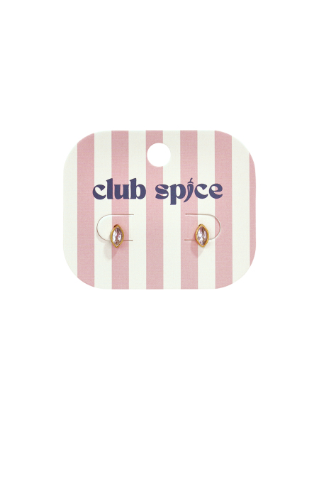 Boucles d'oreilles puces en acier inoxydable, forme elliptique, collection Simple Daily Simple, bijoux pour femmes 2