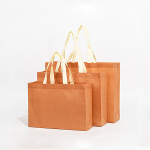 Sacs Cabas Carrés Pour Femmes, Style Décontracté, En Tissu Uni h5 Image2