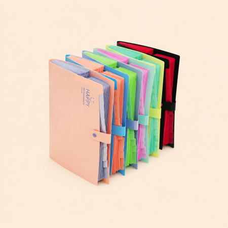 Classeurs et pochettes à lettres quotidiennes Simple Series PP de couleurs assorties avec visage souriant