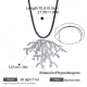 Image2
