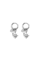couleur argent Image2