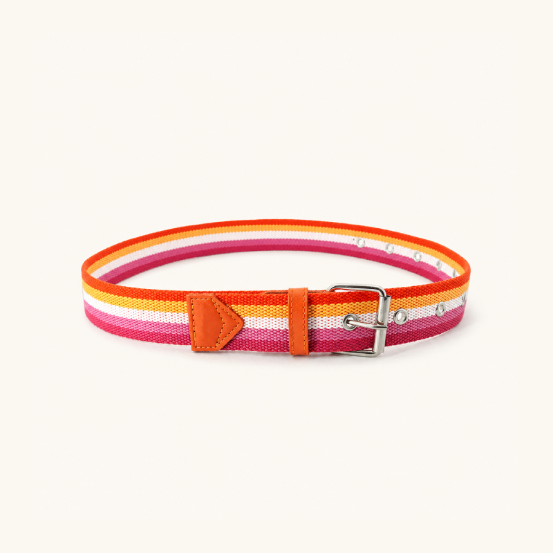 Ceinture En Nylon Tissé À Rayures Décontractées De Couleur Assortie, Série Simple h5Image3