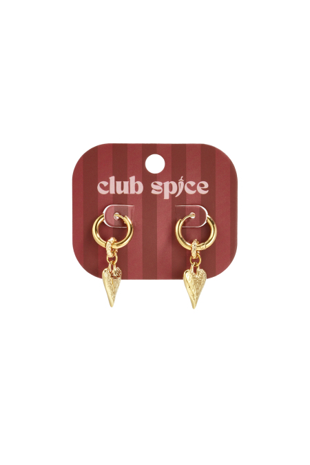 Boucles d'oreilles pendantes en acier inoxydable en forme de cœur, collection Daily Simple, bijoux pour femmes 2