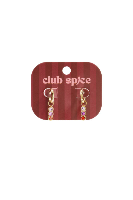 Boucles d'oreilles pendantes en acier inoxydable, style rond, collection décontractée et simple pour femmes 2