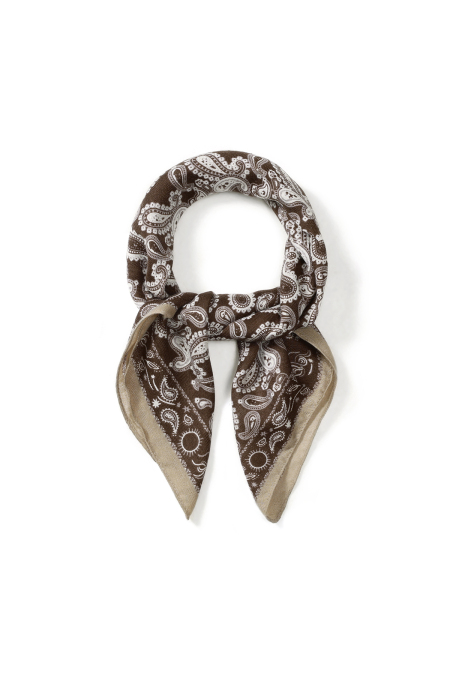 Écharpes d'hiver à motif cachemire en velours classique, accessoires du quotidien