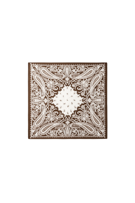 Écharpes d'hiver à motif cachemire en velours classique, accessoires du quotidien