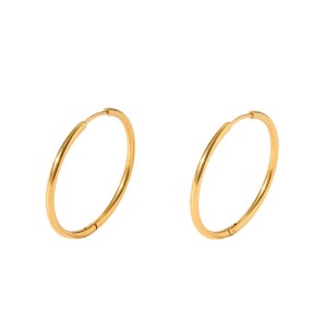 Boucles D'Oreilles Créoles Pour Femmes Simple Series Daily En Acier Inoxydable Étanche Couleur Or h5 Image5