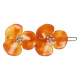 Ambre Image6
