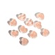 Rose/10PCS Image7