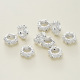 couleur argent Image2