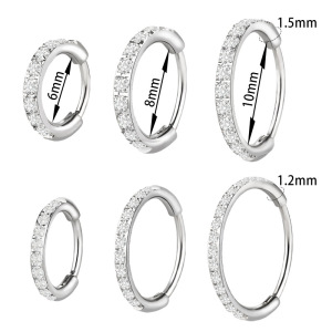 Boucles D'Oreilles Pour Femmes Simple Series Daily Circle En Acier Inoxydable, Étanches, Couleur Or, Avec Zircon. h5 Image4