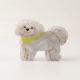 Blanc/8*4.5*6cm 