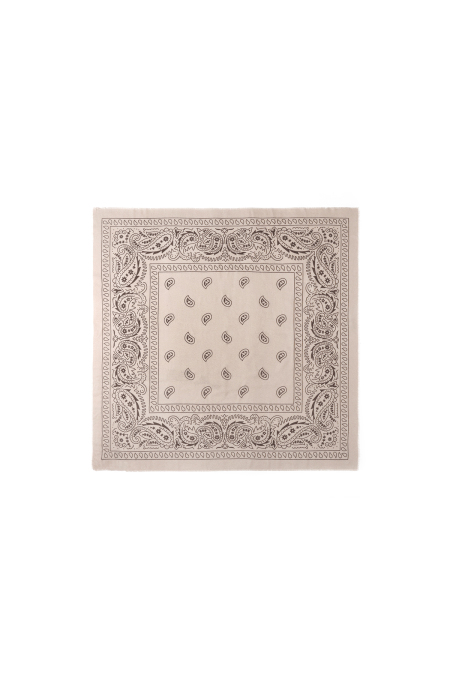 Écharpes d'hiver à motif cachemire, en polyester classique, accessoires du quotidien 2