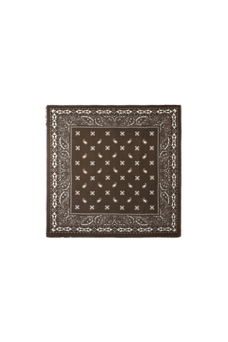 Écharpes d'hiver à motif cachemire, en polyester décontracté, accessoires du quotidien 2
