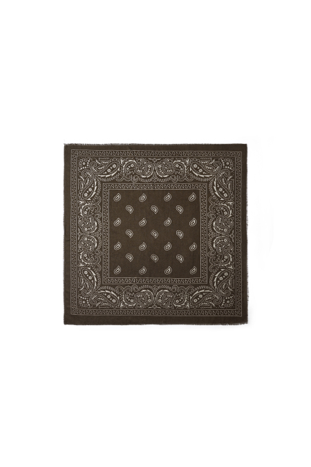 Écharpes d'hiver à motif cachemire, en polyester classique, accessoires du quotidien
