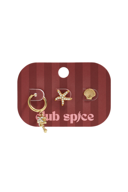 Boucles D'Oreilles En Acier Inoxydable, Style Étoile De Mer, Collection Daily Simple, Bijoux Pour Femmes 2