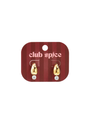 Boucles D'Oreilles Puces En Acier Inoxydable, Forme Goutte, Collection Simple Daily, Bijoux Pour Femmes h5 Image2